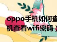 oppo手机如何查看wifi密码?图解（oppo手机查看wifi密码）