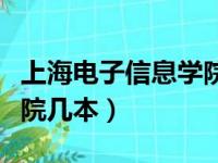 上海电子信息学院官网首页（上海电子信息学院几本）