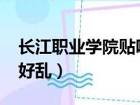 长江职业学院贴吧2021（长江职业技术学院好乱）