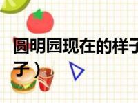 圆明园现在的样子文字描述（圆明园现在的样子）