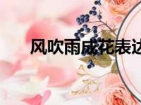 风吹雨成花表达了什么（风吹雨成花）