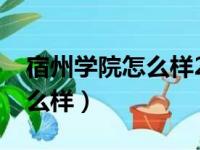 宿州学院怎么样2024年专升本（宿州学院怎么样）