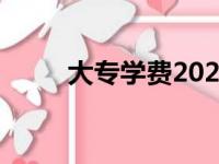 大专学费2023价格表（大专学费）