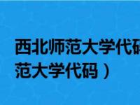 西北师范大学代码8105和8205区别（西北师范大学代码）