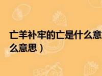 亡羊补牢的亡是什么意思故事告诉我们（亡羊补牢的亡是什么意思）