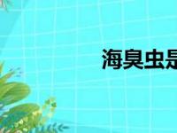 海臭虫是什么（海臭虫）