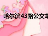 哈尔滨43路公交车路线（43路公交车路线）