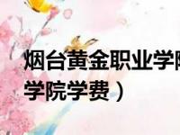 烟台黄金职业学院学费2023（烟台黄金职业学院学费）