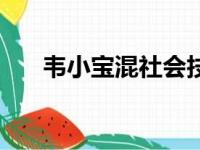 韦小宝混社会技巧（极品混混韦小宝）