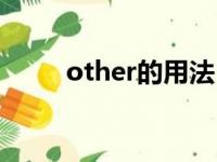 other的用法（other是什么意思）