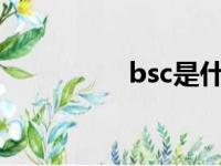 bsc是什么意思呢（bs）