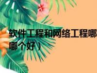 软件工程和网络工程哪个好考研究生（软件工程和网络工程哪个好）