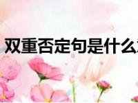 双重否定句是什么意思（双重否定句怎么改）