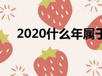 2020什么年属于什么年（2020什么年）