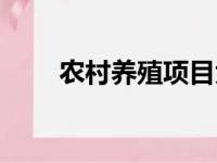 农村养殖项目大全（农村养殖项目）