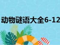 动物谜语大全6-12岁（动物谜语大全儿童版）