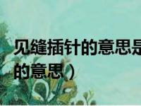 见缝插针的意思是什么表达了什么（见缝插针的意思）