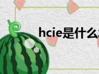 hcie是什么水平（hcie是什么）