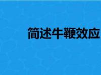 简述牛鞭效应（牛鞭效应名词解释）