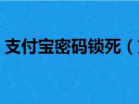 支付宝密码锁死（支付宝密码被锁定怎么办）