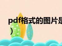 pdf格式的图片是矢量图吗（pdf是矢量图吗）