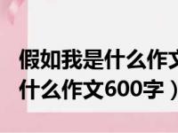 假如我是什么作文600字初一想象（假如我是什么作文600字）