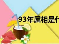 93年属相是什么婚配（93年属相）