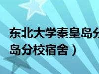 东北大学秦皇岛分校宿舍照片（东北大学秦皇岛分校宿舍）