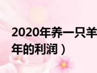 2020年养一只羊的成本与利润（养羊20只一年的利润）