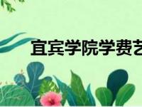 宜宾学院学费艺术类（宜宾学院学费）