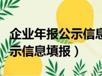 企业年报公示信息填报入口官网（企业年报公示信息填报）