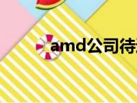 amd公司待遇怎样（amd公司）