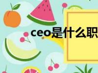 ceo是什么职位（cfo是什么职位）