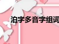 泊字多音字组词2个（泊字多音字组词）