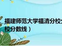 福建师范大学福清分校分数线2023年（福建师范大学福清分校分数线）