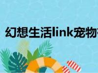 幻想生活link宠物有什么用（幻想生活link）