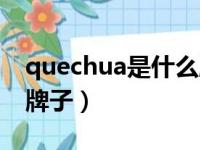 quechua是什么牌子杯子（quechua是什么牌子）