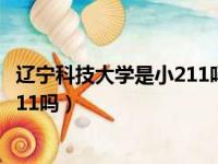 辽宁科技大学是小211吗全国排第几名（辽宁科技大学是小211吗）