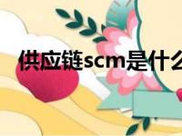 供应链scm是什么意思（scm是什么意思）