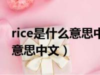 rice是什么意思中文翻译文翻译（rice是什么意思中文）