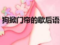 狗掀门帘的歇后语来自（狗掀门帘的歇后语）