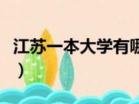 江苏一本大学有哪些学校名单（江苏一本大学）