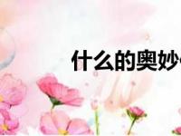 什么的奥妙作文（什么的奥妙）