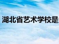 湖北省艺术学校是大专吗（湖北省艺术学校）