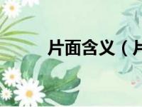 片面含义（片面理解是什么意思）