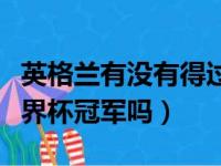 英格兰有没有得过世界杯冠军（英格兰得过世界杯冠军吗）