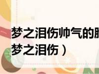 梦之泪伤帅气的脸庞梦之泪伤峡谷之中称王（梦之泪伤）