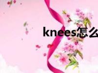 knees怎么读（knee怎么读）