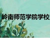 岭南师范学院学校主页（岭南师范学院主页）