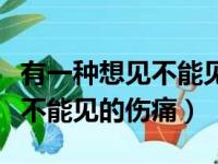 有一种想见不能见的伤痛下一句（有一种想见不能见的伤痛）